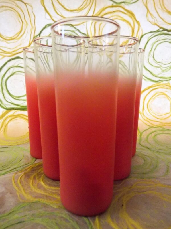 Frosted Watermelon Blendo Highball Set of Glasses