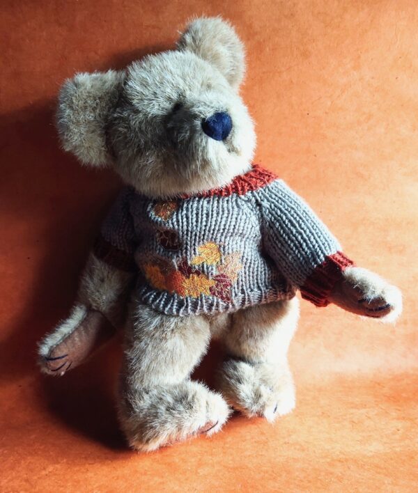 Side and Front View of Adorable Autumn Teddy Bear